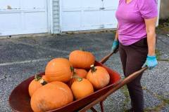 Pumpkin-Patch-13