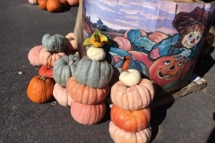 Pumpkin-Patch-5