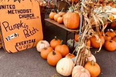Pumpkin-Patch-6